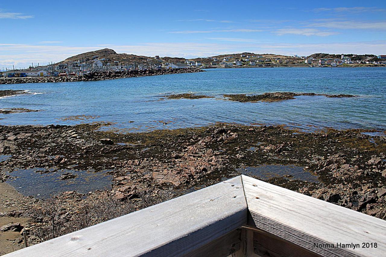 Toulinguet Inn - Suites Twillingate Eksteriør bilde